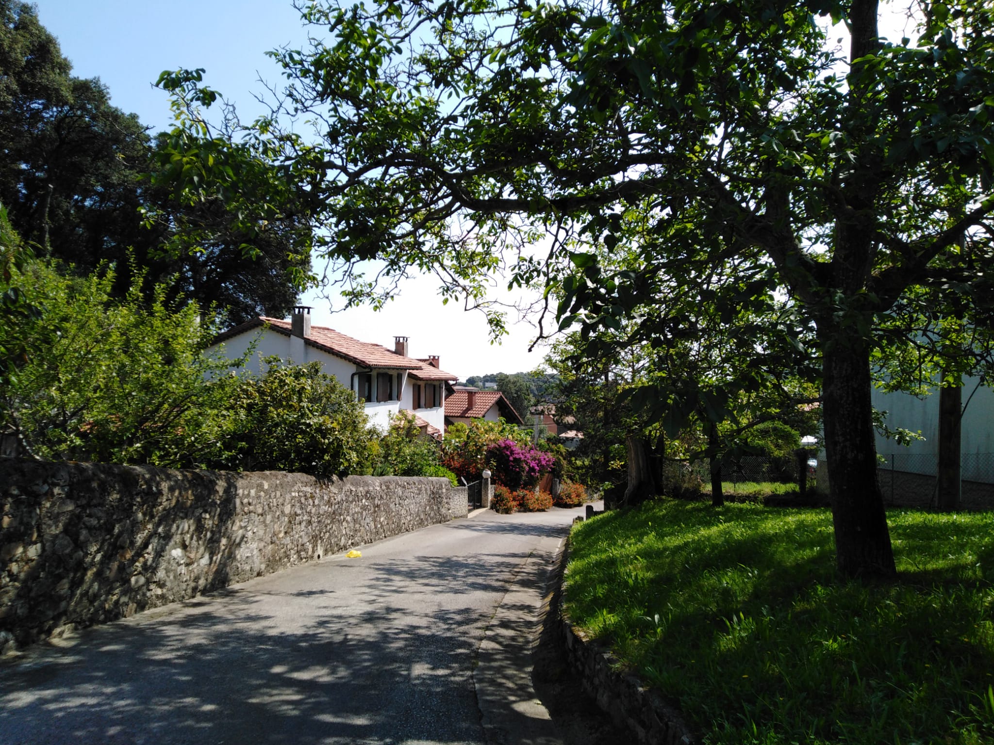 Pechón en Cantabria